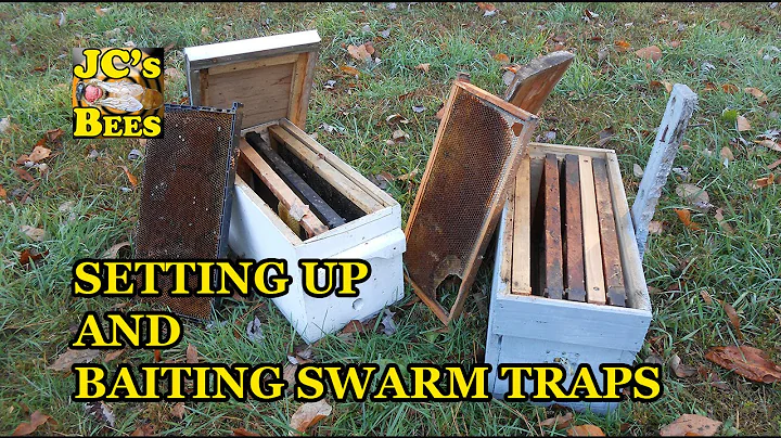 Setting Up And Baiting Swarm Traps / How To Catch Honeybees