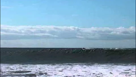 Professor John Searle Interview Part 3