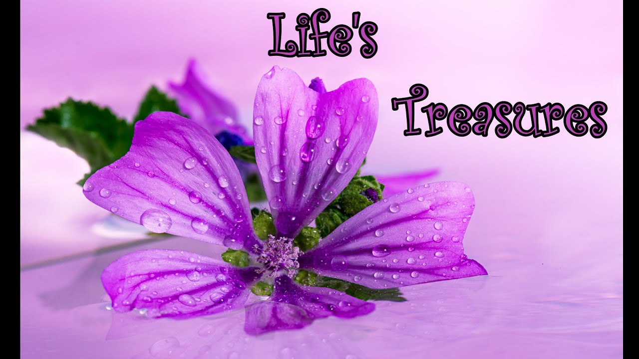 Life's Treasures - YouTube