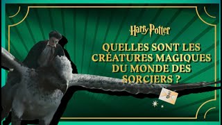 Harry Potter - EP.8 - Quelles sont les créatures magiques du monde des sorciers ?