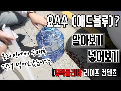 [뮤직플라바 라이프] 디젤차량 요소수/애드블루adblue/ 직접 넣어보기(알아보기)