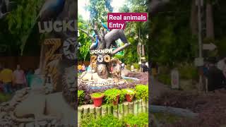 youtubeshorts viral music trending ytshorts animals