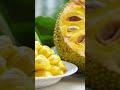 Ref:4xkTndM_VHo Ce fruit gant peut nourrir toute une famille !