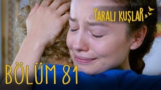 Yaralı Kuşlar 81. Bölüm