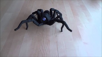 T8 3D Printed Octoped Robot   Spider Salsa Rumba 720