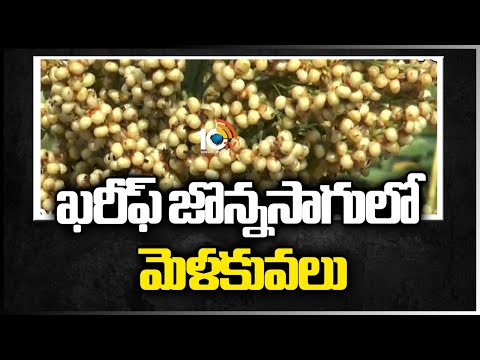 ఖరీఫ్ జొన్నసాగులో మెళకువలు |  Tips And Techniques For Sorghum Cultivation | Matti Manishi | 10TV - 10TVNEWSTELUGU