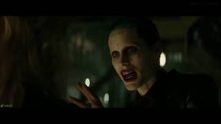 Joker & Harley Quinn ""WhatsApp Status""