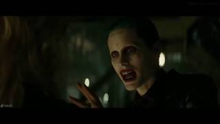 Joker & Harley Quinn ''WhatsApp Status''