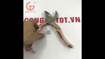 Kéo cắt cành Berrylion - Pruning Shears