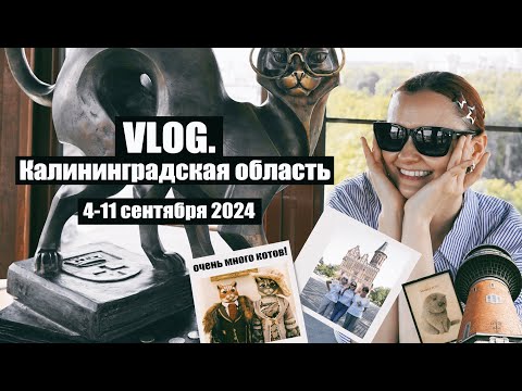 Vlog. Зеленоградск. Светлогорск. Калининград. Куршская коса │4-11 сентября 2024