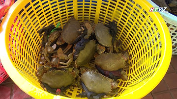 NHÀ HÀNG HẢI SẢN BIỂN CÀ MAU - THÀNH PHỐ CÀ MAU - CT SỐNG KHỎE 81.2019