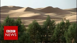 ⁣Why is Africa building a Great Green Wall? BBC News