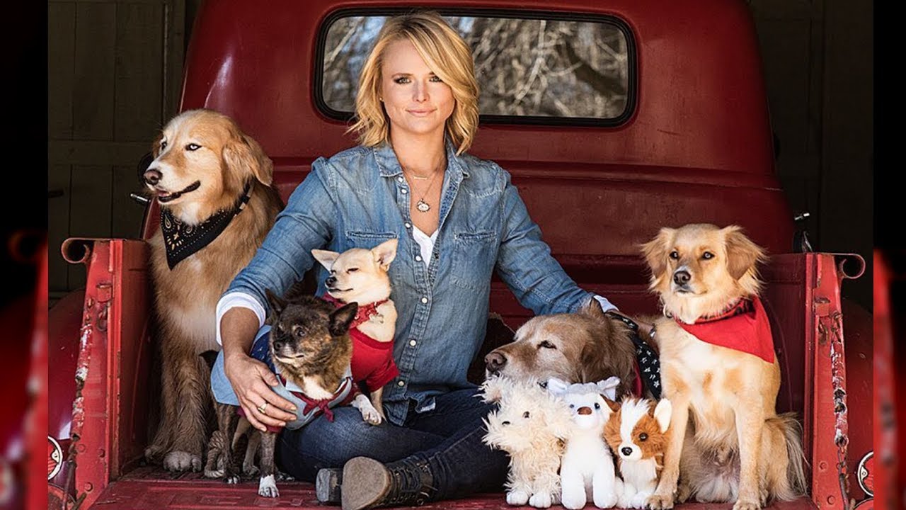 Miranda Lambert's MuttNation Foundation rescues over 70 Hurricane Harvey dogs