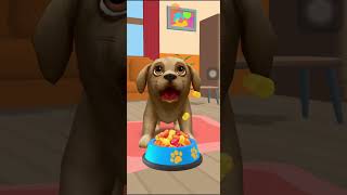 Play game: Pet Run - Puppy Dog Game screenshot 1