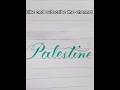 Easy cursive writing "Palestine"by cut marker #calligraphy #youtube #handwriting #art
