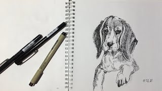 How to Draw a Dog /Puppy Drawing 🐶 / Рисунок щенка