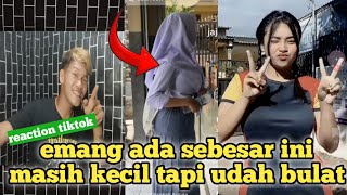 asupan tik tok pemersatu bangsa sma susu gede reaction