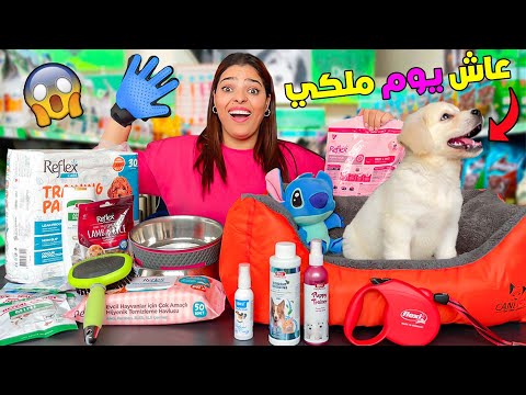 اخيرا خلينا الكلب الجديد روكي يعيش يوم ملكي صرفنا   دولار
