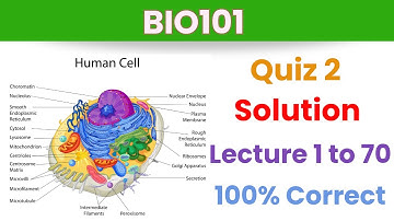 BIO101 Quiz 2_Topic 1-70_2024_100% Correct_Bio101 quiz 2 solution