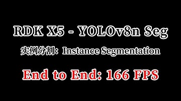 RDK X5: YOLOv8-Seg 166 FPS
