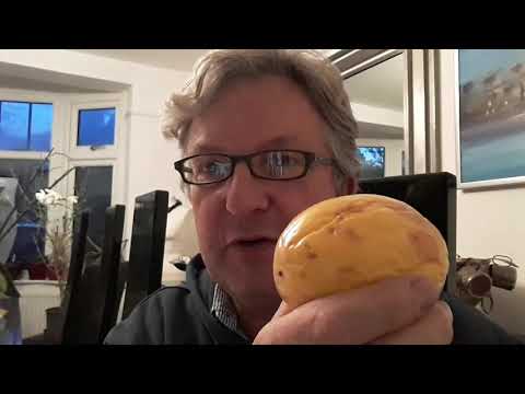 Yellow Maracuya -