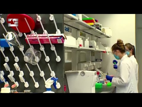 საქართველოში  კორონავირუსის ე.წ. ინდური შტამის ხუთი შემთხვევა დაფიქსირდა