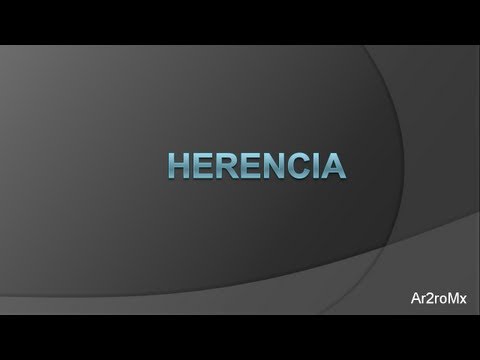 Lección 18 C# Herencia (abstract, override, virtual, new, protected)
