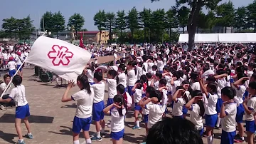 赤組白組ゴーゴゴ 赤組白組ゴーゴゴ