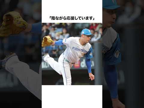 【日本ハム】【盟友】「上沢直之のメジャーデビューに」加藤貴之「励みになります」【日本ハム反応集】【ネットの反応】 #日本ハムファイターズ #上沢直之 #加藤貴之 #shorts