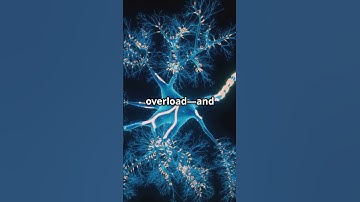 Your Brain’s Secret Delete Key: Why You  Forget #facts #factsyoudontknow #fyp