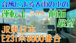 2021/9/18 JR東日本 東海道線 台風による雨量増の影響を受ける 前面展望動画【E231系8000番台】