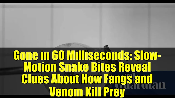 Gone in 60 Milliseconds: Slow-Motion Snake Bites Reveal Clues About How Fangs and Venom Kill Prey