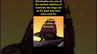Dimetrodon cool facts