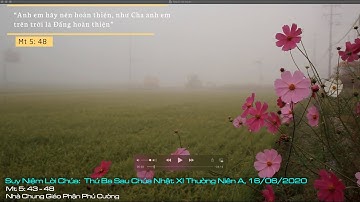 Suy Niệm Lời Chúa: Thứ Ba Sau Chúa Nhật XI Thường Niên Năm A, 16/06/2020