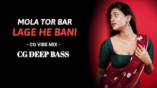 Mola Tor Bar Lage He Bani | Cg Vibe Mix | Cg Dj Song | 2022 | CG DEEP BASS | DJ RAJU