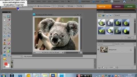 Adobe Photoshop Elements 8 tutorial part 1/3