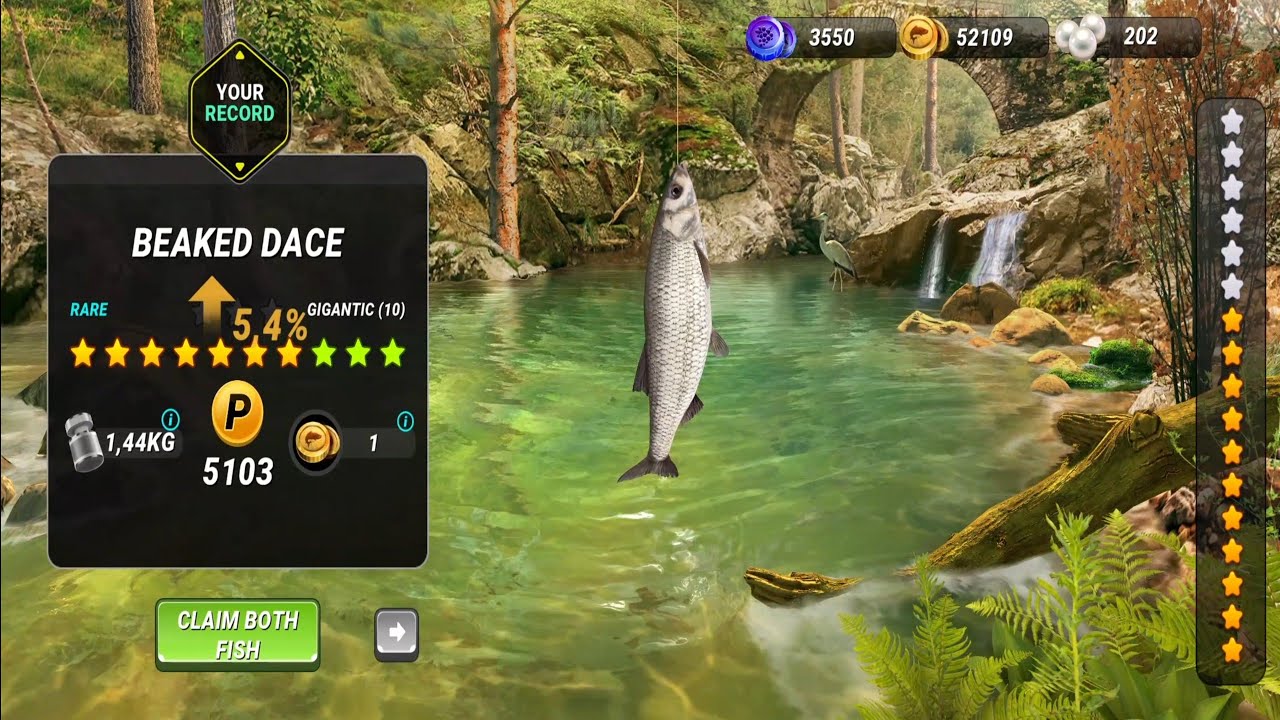 New Fishery Unlocked! Siagne River Fishing Clash Gameplay Ep223 YouTube