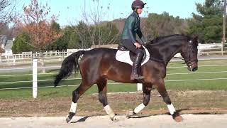 Rendition Slec aka Rio flat work 12 9 22