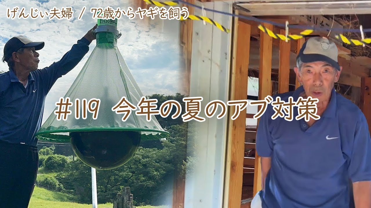 【78歳ヤギ飼い#2】ヤギたちの今年のアブ対策は「72歳からの楽しいシニアライフ#119」