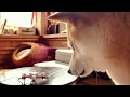 ドローンが飛ばなくて I don’t know how to fly a drone