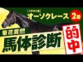 【菊花賞 2021】波乱の一昨年は本命1着＆特注2着！世代最上位の才能がココで開花する！某大手牧場の元スタッフが見抜くGIイチオシ馬体！GIフォトパドック【競馬 予想】