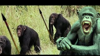 True War of the Apes.The Gombe Chimpanzee  war screenshot 1