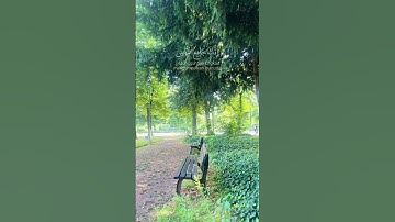 آيات خاشعة #عبدالرحمن_مسعد #قرآن #قرآن_كريم #قران #راحة_نفسية