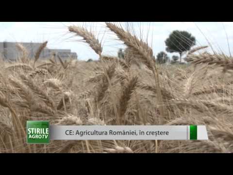 Video: Problema Agriculturii și Creșterea Grădinilor De Jocuri Video