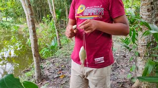 Hook fishing - Traditional hook fishing video. (part-2)