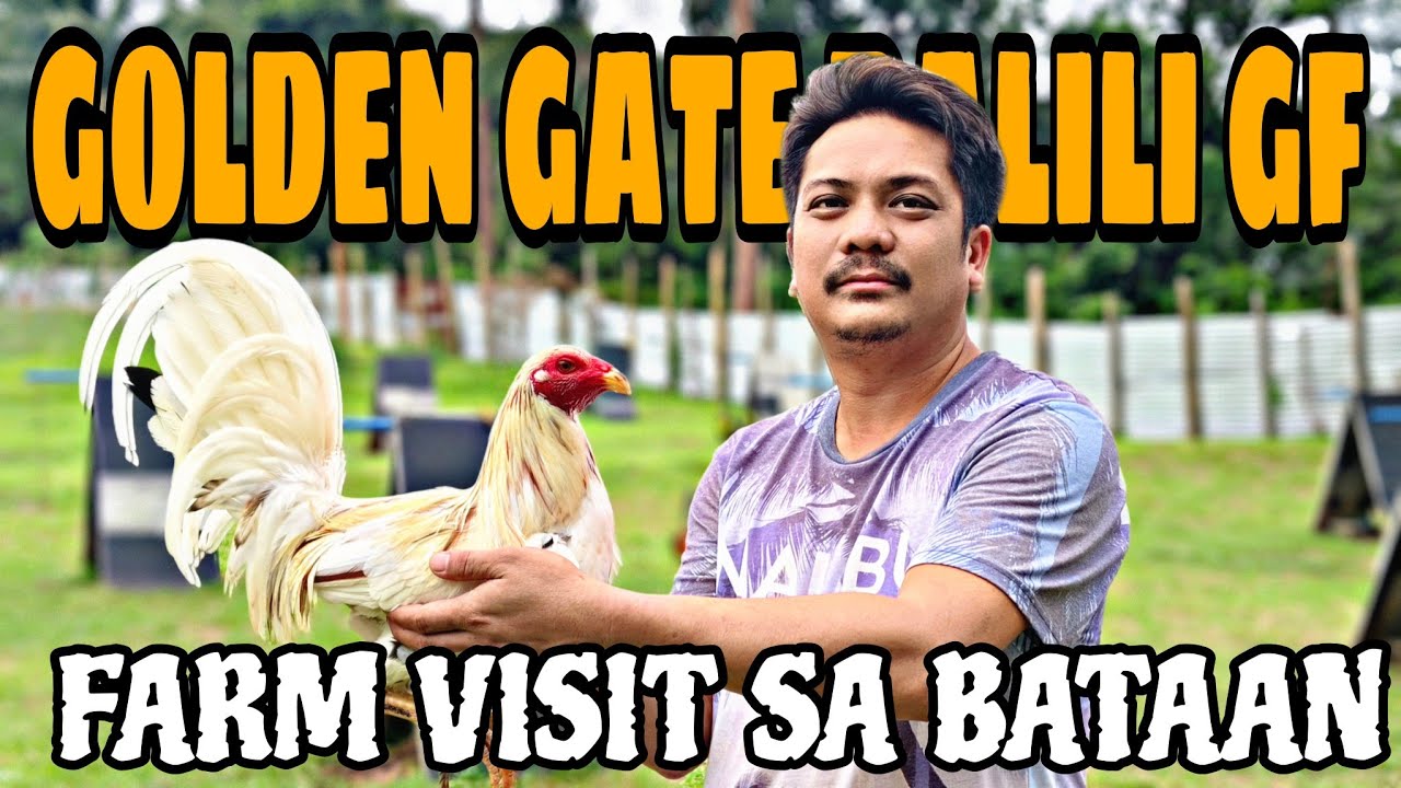 GOLDEN GATE PALILI GAMEFARM MGA LINYADA NILA DITO
