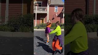 Pumpkins at Kentucky Kingdom 2024 Recap