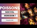 Poissons Un  Dénouement qui tombe à pic  ! Tirage  Mai 2024 🔮