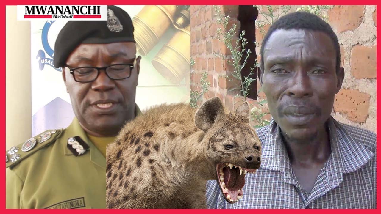 Fisi aua mtoto Mwanza, baba yake afunguka, wananchi watoka na silaha za jadi kumuwinda