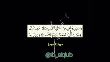 ضرب الله مثلا للذين كفروا امرأة نوح |تلاوة خاشعة مريحة #طب_القلوب #tb_alqlub